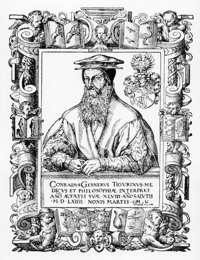 Conrad Gesner door Swiss School
